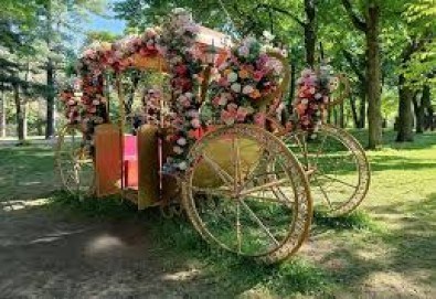 Еднодневна екскурзия до Крайова! Посещение на парк Никола Романеску“ и търговски център Promenada с водач и транспорт от Дениз Травел - Снимка