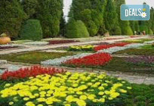 Фестивал на лалетата в Балчик! 1 нощувка, закуска, посещение на нос Калиакра, водач и транспорт от Дениз Травел - Снимка 6