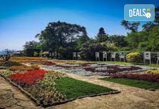 Фестивал на лалетата в Балчик! 1 нощувка, закуска, посещение на нос Калиакра, водач и транспорт от Дениз Травел - Снимка 4