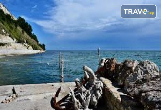 Фестивал на лалето в Балчик! 1 нощувка, посещение на нос Калиакра, Аладжа манастир, Мидената ферма и транспорт от Рикотур - Снимка 10