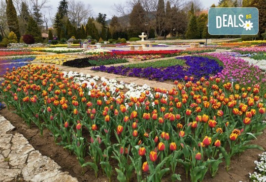 Фестивал на лалето в Балчик! 1 нощувка, посещение на нос Калиакра, Аладжа манастир, Мидената ферма и транспорт от Рикотур - Снимка 3