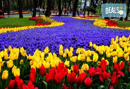 Екскурзия до Истанбул през Юни, Юли и Август на ТОП ЦЕНА! 2 нощувки със закуски в хотел “VATAN ASUR“ 4*, транспорт, посещение на Одрин и възможност за допълнителни екскурзии от Комфорт Травел - Снимка 10