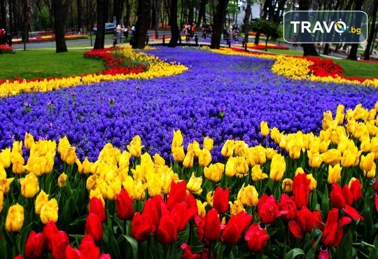 Екскурзия до Истанбул през Юни, Юли и Август на ТОП ЦЕНА! 2 нощувки със закуски в хотел “VATAN ASUR“ 4*, транспорт, посещение на Одрин и възможност за допълнителни екскурзии от Комфорт Травел - Снимка 10