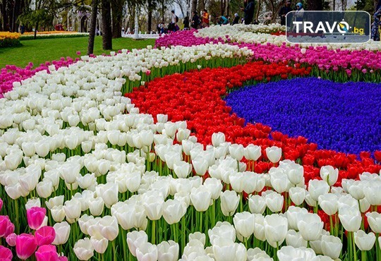 Екскурзия до Истанбул през Юни, Юли и Август на ТОП ЦЕНА! 2 нощувки със закуски в хотел “VATAN ASUR“ 4*, транспорт, посещение на Одрин и възможност за допълнителни екскурзии от Комфорт Травел - Снимка 11