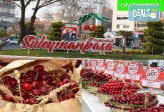 Заповядайте на Фестивал на черешата в Текирдаг, с посещение на Чорлу! 1 нощувка със закуска, транспорт и водач от Комфорт Травел - Снимка 2