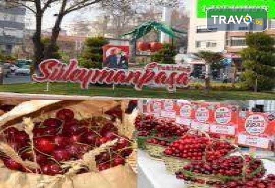Заповядайте на Фестивал на черешата в Текирдаг, с посещение на Чорлу! 1 нощувка със закуска, транспорт и водач от Комфорт Травел - Снимка 2
