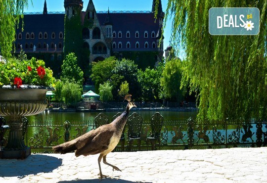 Една незабравима обиколка на красивото Българско Черноморие - от Дуранкулак до Синеморец! 3 нощувки, закуски, вечери и транспорт от Рикотур - Снимка 9