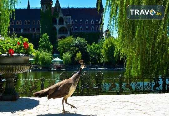 Една незабравима обиколка на красивото Българско Черноморие - от Дуранкулак до Синеморец! 3 нощувки, закуски, вечери и транспорт от Рикотур - Снимка 9