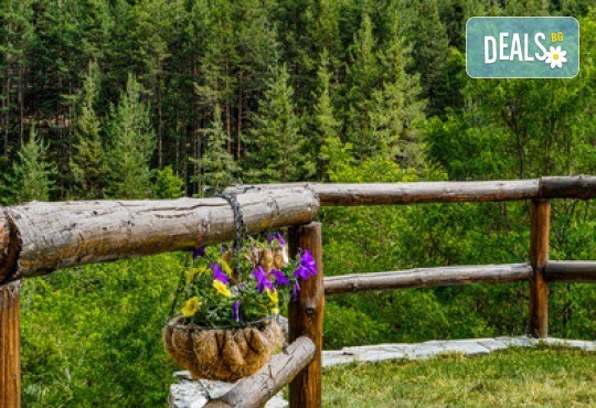 Релакс и романтика в Еко къща Землянка, с.Лещен! 1 Нощувка за двама в самостоятелна къща с хидромасажна вана, оборудвана кухня, барбекю, камина - Снимка 21