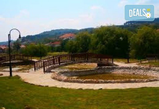 Екскурзия и шопинг за 1 ден до Делчево с посещение на комплекс Panorama Aqua Club, посещение на градския пазар, водач и транспорт от Роял Холидейз - Снимка 4