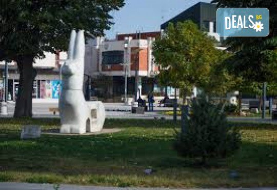 Купон по сръбски в Димитровград, хотел Sax Balkan с посещение на град Бела Паланка- Фестивала на баницата 2026г! 1 нощувка, закуска, вечеря с жива музика и неограничени местни напитки, посещение на Пирот и транспорт от Роял Холидейз - Снимка 5