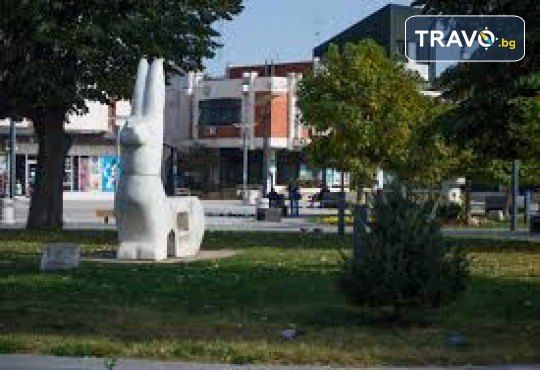 Купон по сръбски в Димитровград, хотел Sax Balkan с посещение на град Бела Паланка- Фестивала на баницата 2026г! 1 нощувка, закуска, вечеря с жива музика и неограничени местни напитки, посещение на Пирот и транспорт от Роял Холидейз - Снимка 5