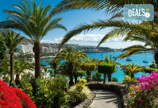 Круиз Канарски острови и Мадейра с круизния кораб Costa Smeralda! 2 нощ. в Лас Палмас; и 8 нощ. на кораба, закуска, обяд, следобедна закуска, вечеря и трасфери от Оушън Травел - Снимка 4
