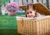 Професионална детска или семейна фотосесия по избор, в студио или външна и обработка на всички заснети кадри от Chapkanov Photography - thumb1 1