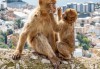 Круиз между два континента - Испания, Гибралтар и екзотично Мароко! 8 дни/ 7 нощувки с круизния кораб Celestyal Discovery, със закуски, обеди, вечери, напитки, от Рикотур - thumb 8