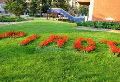 Посетете Фестивала на сиренето и кашкавала в Пирот! Нощувка със закуска и вечеря с музика на живо в Етно село Срна, плюс транспорт, от Поход - Снимка