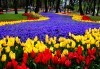 Екскурзия до Истанбул с 2 нощувки със закуски в хотел “Vatan Asur“ 4*, транспорт, посещение на Одрин и възможност за допълнителни екскурзии от Комфорт Травел - thumb 9