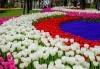 Екскурзия до Истанбул с 2 нощувки със закуски в хотел “Vatan Asur“ 4*, транспорт, посещение на Одрин и възможност за допълнителни екскурзии от Комфорт Травел - thumb 10