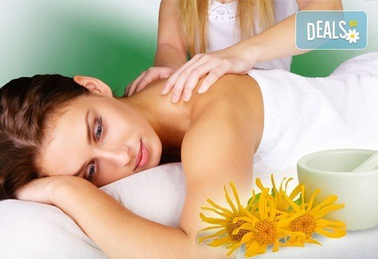 Спрете болката с лечебен масаж на цял гръб с арника от N&S Fashion зелен салон! - Снимка 1