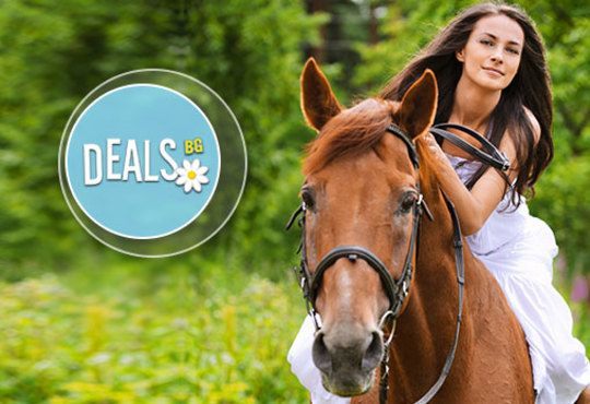 Едночасов урок по конна езда с инструктор или конна езда с водач в Конна база Драгалевци или Нова звезда! - Снимка 1