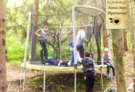 Детски рожден ден за 10 деца в Конна база Драгалевци! Конна езда, въжена градина, батут или спускане с тролей по избор! - Снимка 3