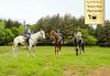Детски рожден ден за 10 деца в Конна база Драгалевци! Конна езда, въжена градина, батут или спускане с тролей по избор! - thumb 4
