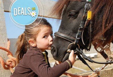 Детски рожден ден за 10 деца в Конна база Драгалевци! Конна езда, въжена градина, батут или спускане с тролей по избор!
