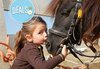 Детски рожден ден за 10 деца в Конна база Драгалевци! Конна езда, въжена градина, батут или спускане с тролей по избор! - thumb 1