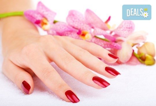 Маникюр и педикюр с лакове O.P.I. и UV топ лак и бонус: 30% отстъпка от козметична услуга при посещение в салон Вили! - Снимка 3
