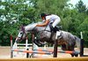 Усетете свободата! 30-минутно обучение с инструктор по конна езда от Конна база Ласкар, до с.Чепинци! - thumb 3