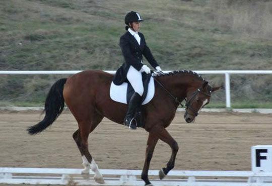 Усетете свободата! 30-минутно обучение с инструктор по конна езда от Конна база Ласкар, до с.Чепинци! - Снимка 6