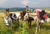 Усетете свободата! 30-минутно обучение с инструктор по конна езда от Конна база Ласкар, до с.Чепинци! - thumb 2