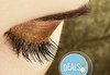 Изразителни очи! Поставяне на луксозни мигли косъм по косъм, косъм от норка и подарък в Galleria of beauty - thumb 1