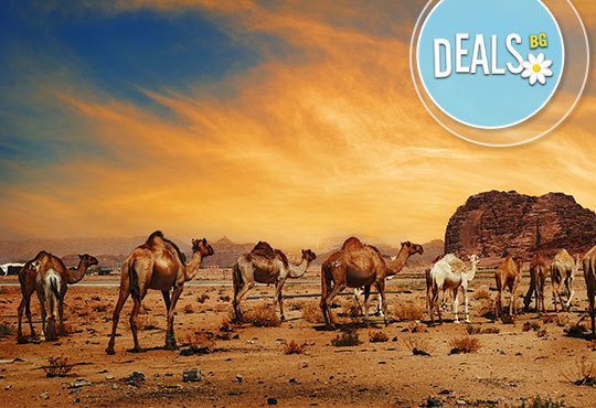 Екскурзия до Акаба, Аман и Петра, Йордания! 5 нощувки със закуски и вечери, самолетен билет летищни такси и програма - Снимка 1