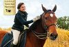 Обичате ли конете? 4 дни обучение по конна езда, общо 210 мин. и преход по избор от конна база Драгалевци - thumb 3