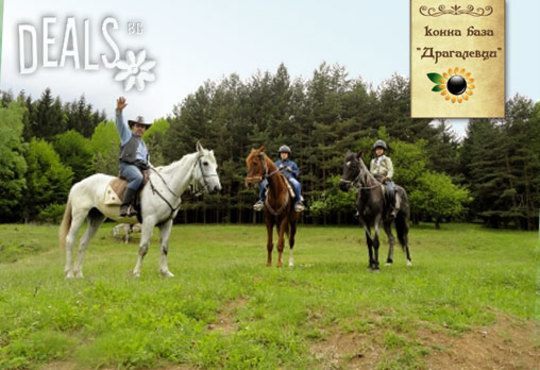 Обичате ли конете? 4 дни обучение по конна езда, общо 210 мин. и преход по избор от конна база Драгалевци - Снимка 2