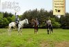 Обичате ли конете? 4 дни обучение по конна езда, общо 210 мин. и преход по избор от конна база Драгалевци - thumb 2
