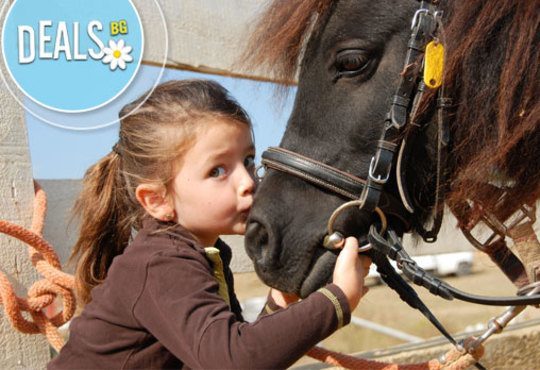 Обичате ли конете? 4 дни обучение по конна езда, общо 210 мин. и преход по избор от конна база Драгалевци - Снимка 5