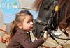 Обичате ли конете? 4 дни обучение по конна езда, общо 210 мин. и преход по избор от конна база Драгалевци - thumb 5