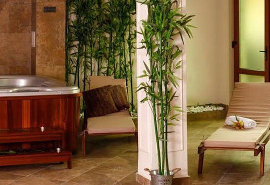 8-ми декември с лукс и удоволствие в Маунтин Бутик Хотел и Спа 3*, Девин! 2/3 нощувки със закуски и празнична вечеря - Снимка 16