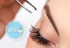 Дълбокопочистваща терапия на лице в 11 стъпки с продукти на ProfiDerm, подарък оформяне на вежди,Sunflower beauty studio - thumb 5
