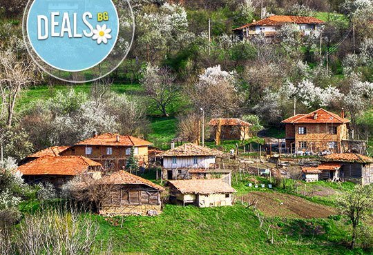 Вкусна дегустация! Екскурзия за Празника на Еленския бут на 14.11. в град Елена! Транспорт и екскурзовод ! - Снимка 2