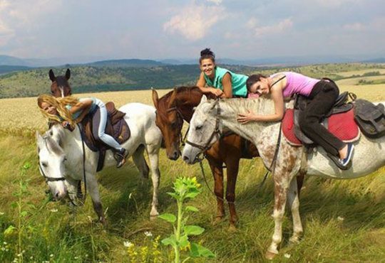 30 минути разходка и 30 минути обучение по конна езда от Езда София в конна база Хан Аспарух, Ласкар или Драгалевци! - Снимка 2