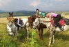 30 минути разходка и 30 минути обучение по конна езда от Езда София в конна база Хан Аспарух, Ласкар или Драгалевци! - thumb 2