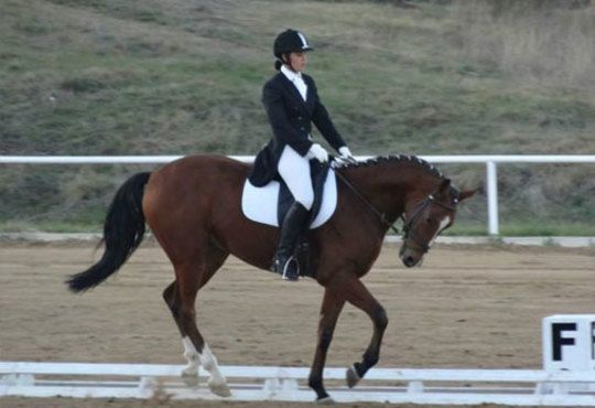 30 минути разходка и 30 минути обучение по конна езда от Езда София в конна база Хан Аспарух, Ласкар или Драгалевци! - Снимка 4