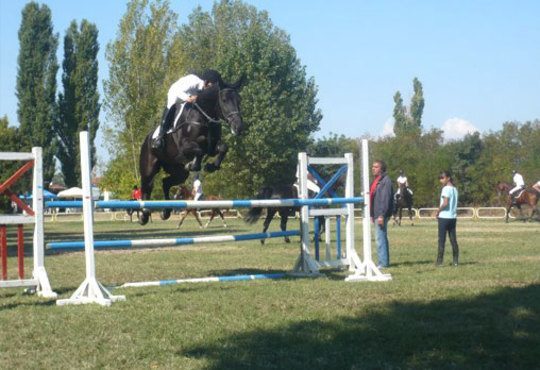 30 минути разходка и 30 минути обучение по конна езда от Езда София в конна база Хан Аспарух, Ласкар или Драгалевци! - Снимка 5