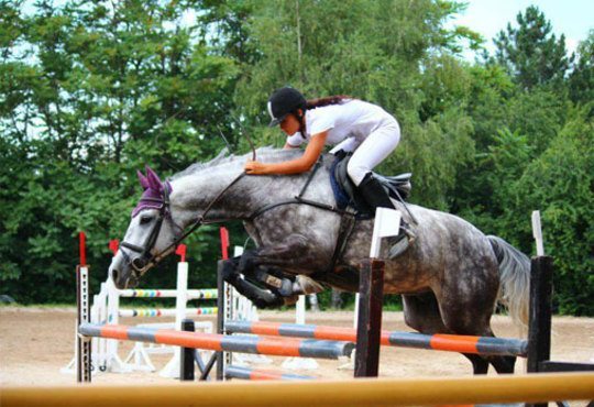 30 минути разходка и 30 минути обучение по конна езда от Езда София в конна база Хан Аспарух, Ласкар или Драгалевци! - Снимка 6