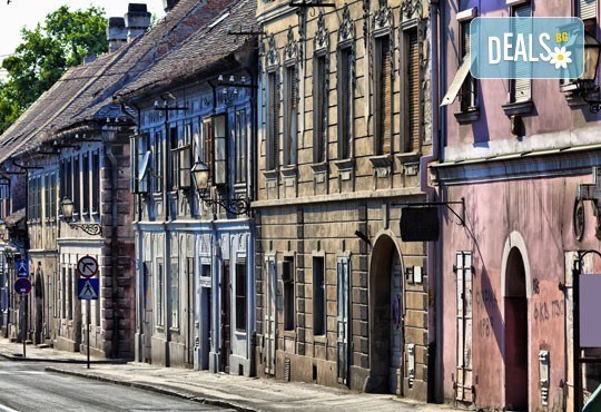 Нова година в Нови Сад - градът мост между Балканите и Запада! 2 нощувки, закуски и вечери в Путник 3*и транспорт! - Снимка 7