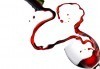 Доставки по домовете! Две големи пици и бутилка бяло или червено вино с доставка от Кулинарна къща НИКИ - thumb 4
