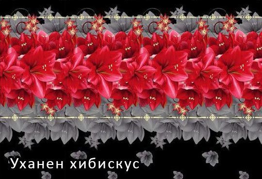 Пожелаваме Ви сладки сънища в 3D спален комплект за приста, изработен от сатенирана коприна от Шико - ТВ! - Снимка 2